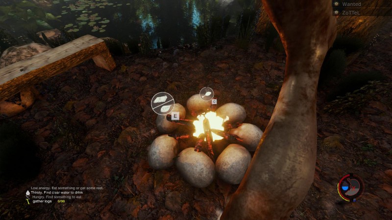 TheForest2015-06-2019-24-52-582915e.jpg