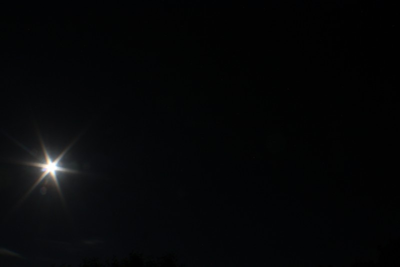IMG_0002_16f247.jpg