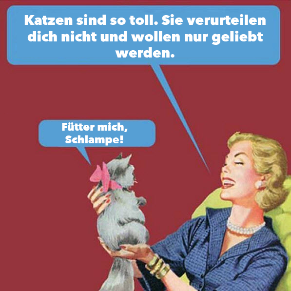 katzensindtoll6809f.png