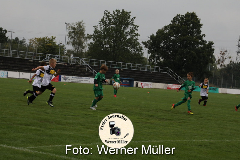 2021-08-28-WM-4880ce9c5552ef9fc43.jpg