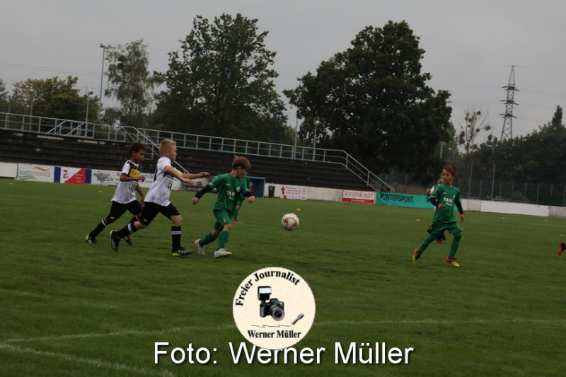 2021-08-28-WM-49008dd83d494bef2ba.jpg