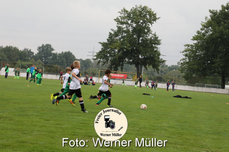 2021-08-28-WM-5031de613c698e55af9.jpg