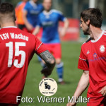 2022-05-01-WM-103dd578298ba4419f4