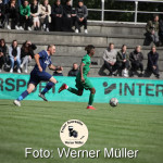 2022-05-28-WM-515e96c06c21053d25d