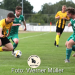 2022-06-11WM-05997329b34f51327cee