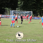 2022-06-19-WM-17352b147cd4f6af621