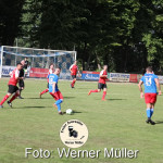 2022-06-19-WM-17619a90a2714cdc874