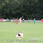 2022-07-09--WM-2125de4bdae1c862261