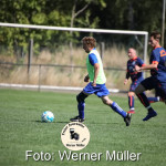 2022-08-06-WM-428d2a8cfad3d33cb50