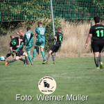 2022-08-06-WM-529d22f4e597e13df44