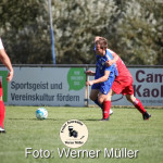 2022-08-06-WM-56353dff312ef66a83e