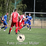 2022-08-06-WM-569e42caa50de1fb3b8