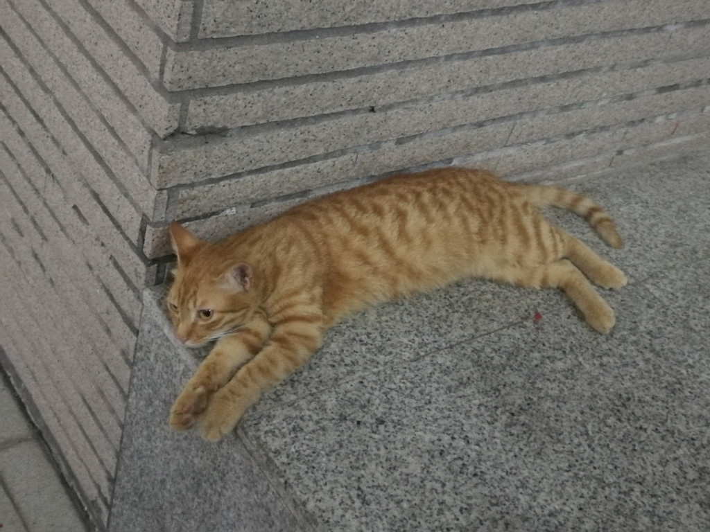 LbwcJA_7Bea658b2f6abf5d7d.jpg