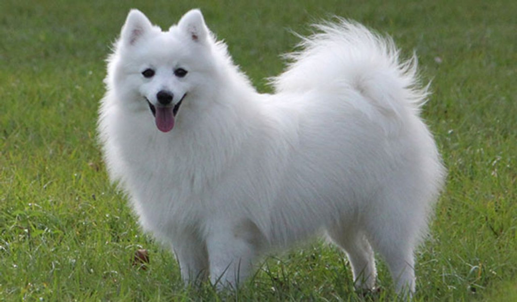 HksaMxqNX_12807bcb9f7456e2d8df.jpg