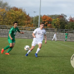 Bild-0683737a61228adc295