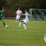 Bild-14722b72874752b3c7d
