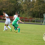 Bild-153007787a2cd121049