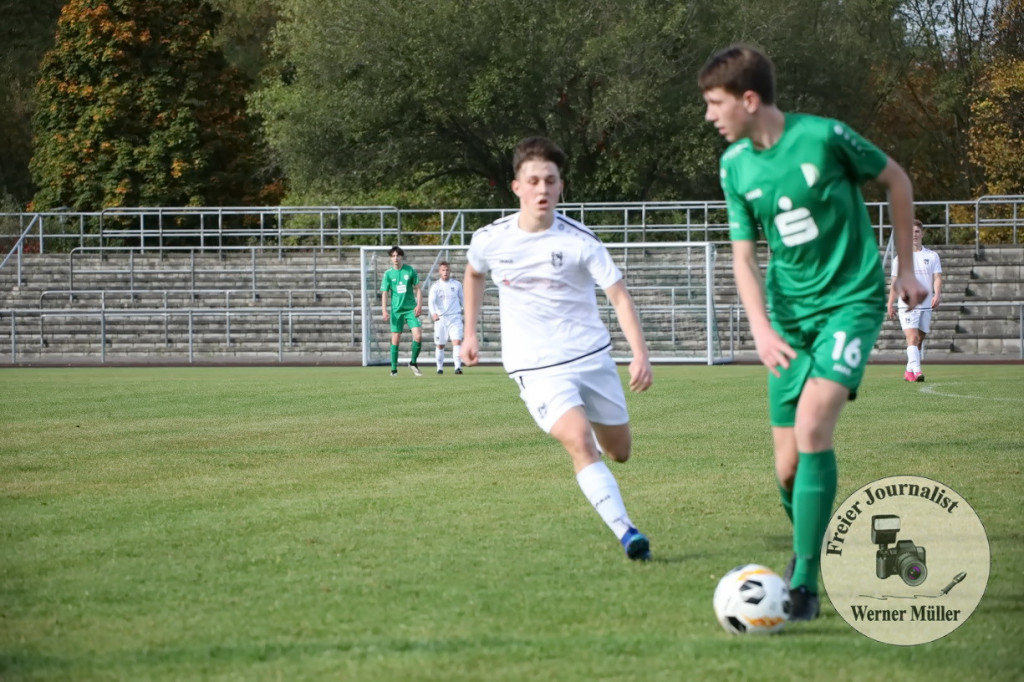 Bild 184