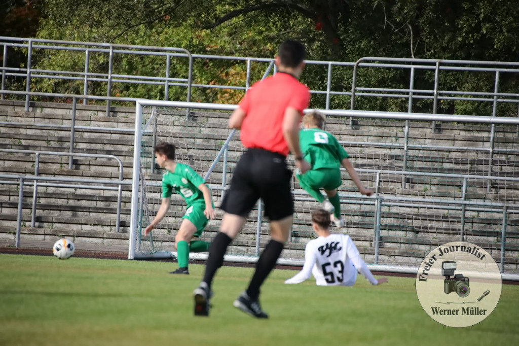Bild 201