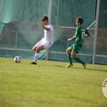 Bild-20227d61b3892e6699a