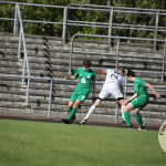 Bild-220392eda334b2e2d9b