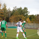 Bild-245c50c40d24c3b3487