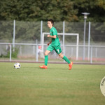 Bild-275f1ea6264472129dc