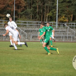 Bild-28815dda43507790768