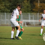 Bild-290b4c56b158973c9c4