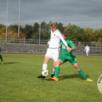 Bild-309c99358347cc16a67