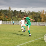 Bild-312d823bd320a4e0950