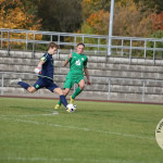 Bild-331d951045c733d5a03