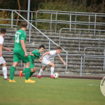 Bild-33704fffdc6469407e0