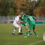 Bild-384a68e7e456e631445