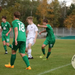 Bild-392ab8742933a8e8b01