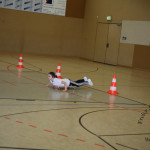 Foto-003c503be23a8505213