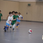 Foto-154bf3e7fb8bfbea552