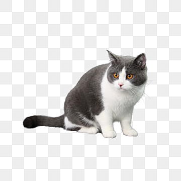 Lq9WlbieJf158913e37137a65.jpg