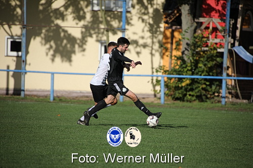 2023-10-14-WM-340dae9cfc0d7727347.jpeg