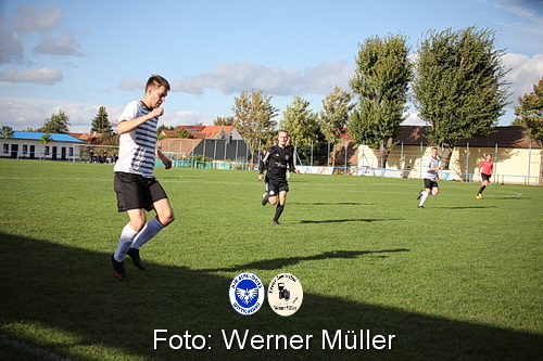 2023-10-14-WM-351fc97564db11d48cb.jpeg