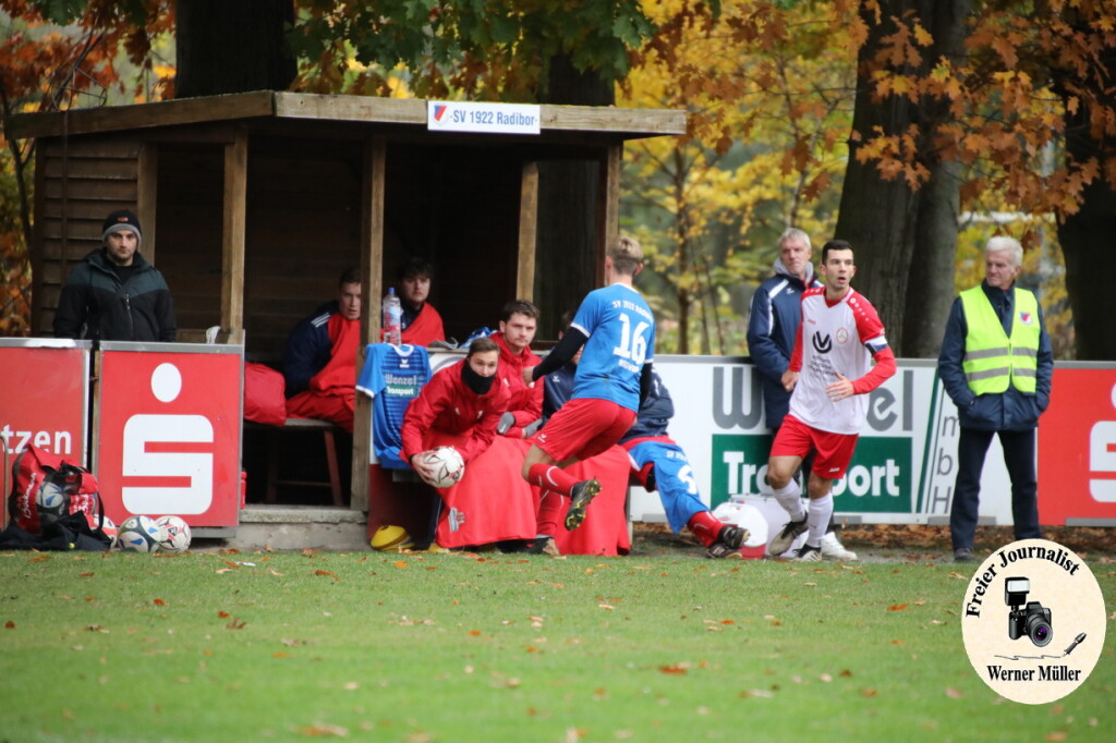 20s23-11-12-WM-128aa88a62f57e69fe6.jpeg