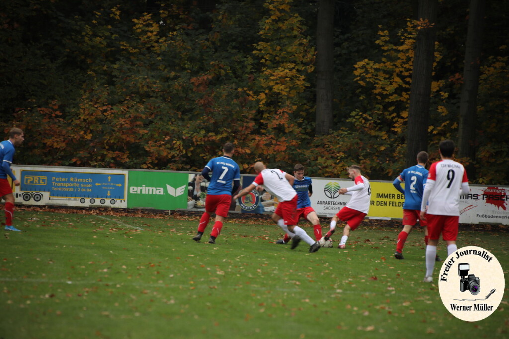 20s23-11-12-WM-1344c0b8e89fcc1d65f.jpeg