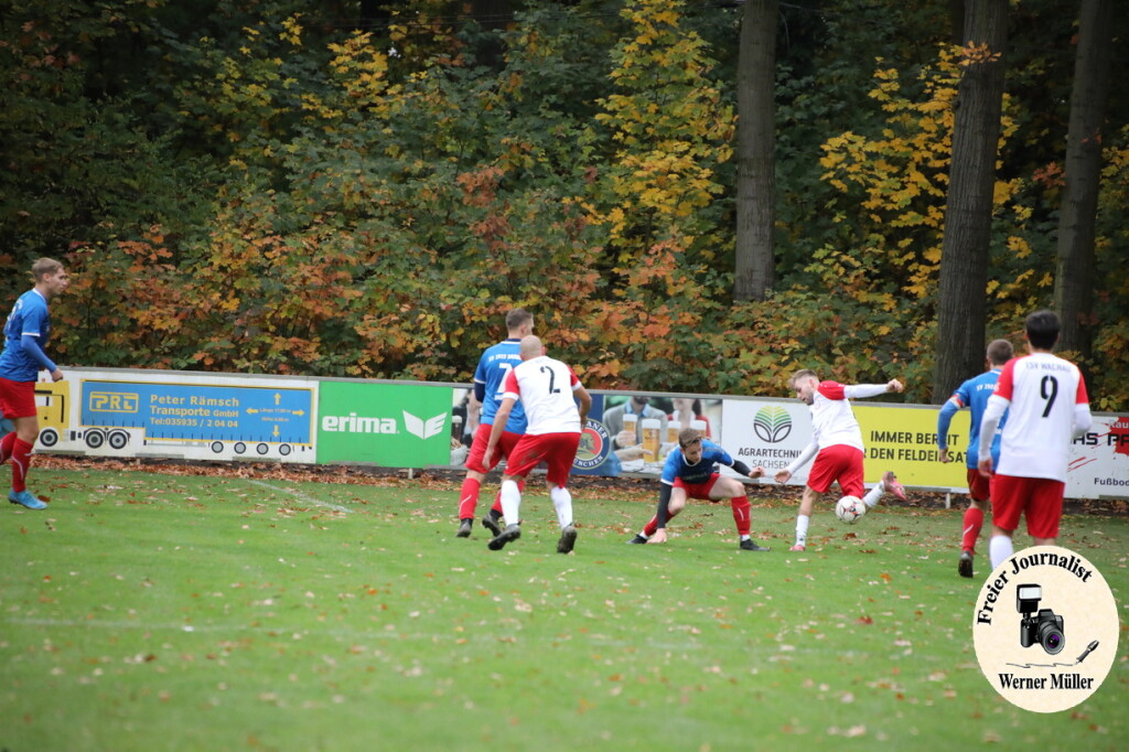 20s23-11-12-WM-1361ae14461b59a955c.jpeg
