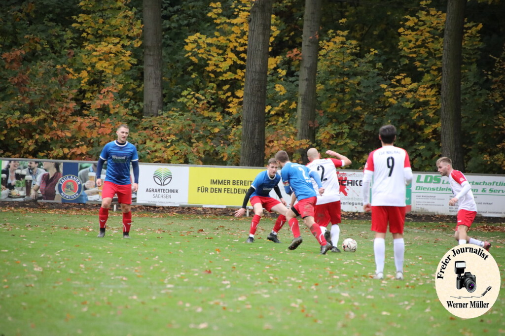 20s23-11-12-WM-14302b36b5ceb069125.jpeg