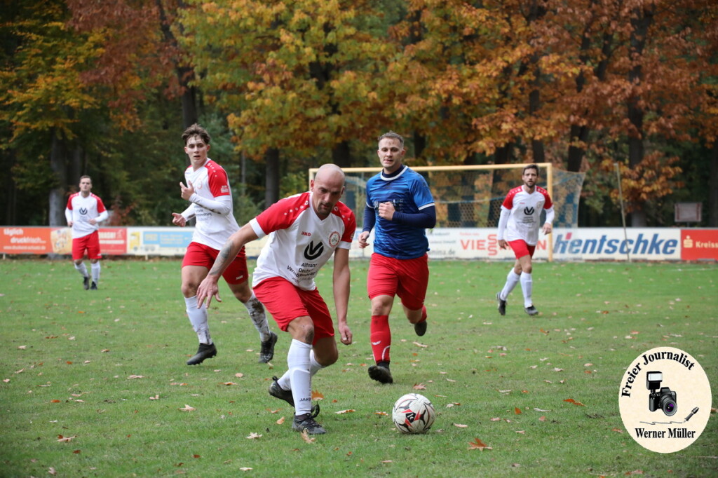 20s23-11-12-WM-1936950dcf83996c34b.jpeg