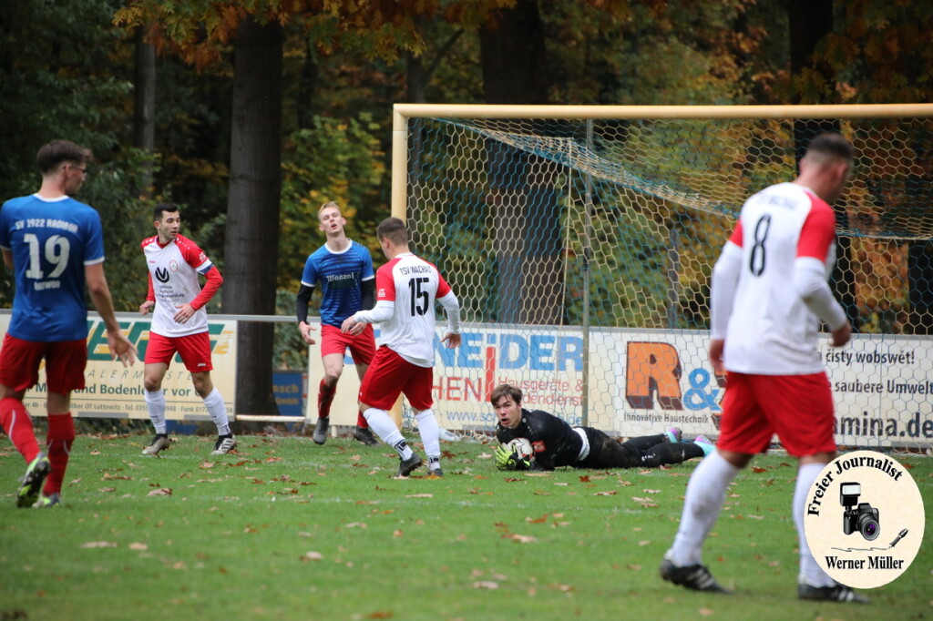 20s23-11-12-WM-236567af423259fe3f5.jpeg