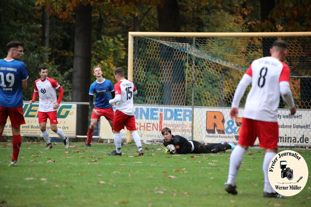 20s23-11-12-WM-23754cc7f047a63df87.jpeg