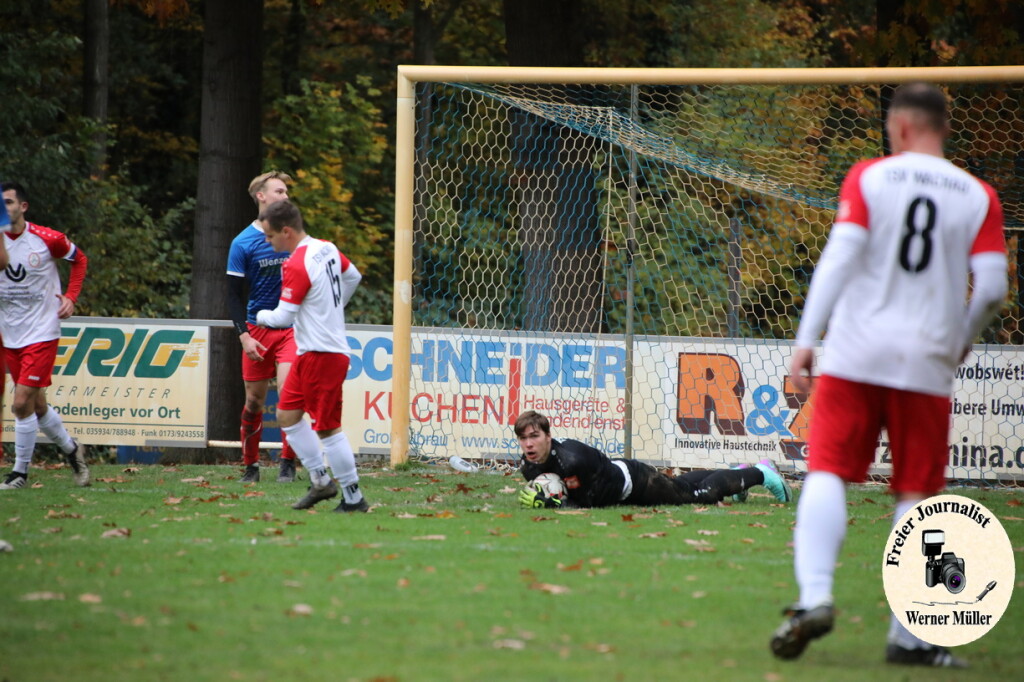 20s23-11-12-WM-239461726e059f309e6.jpeg