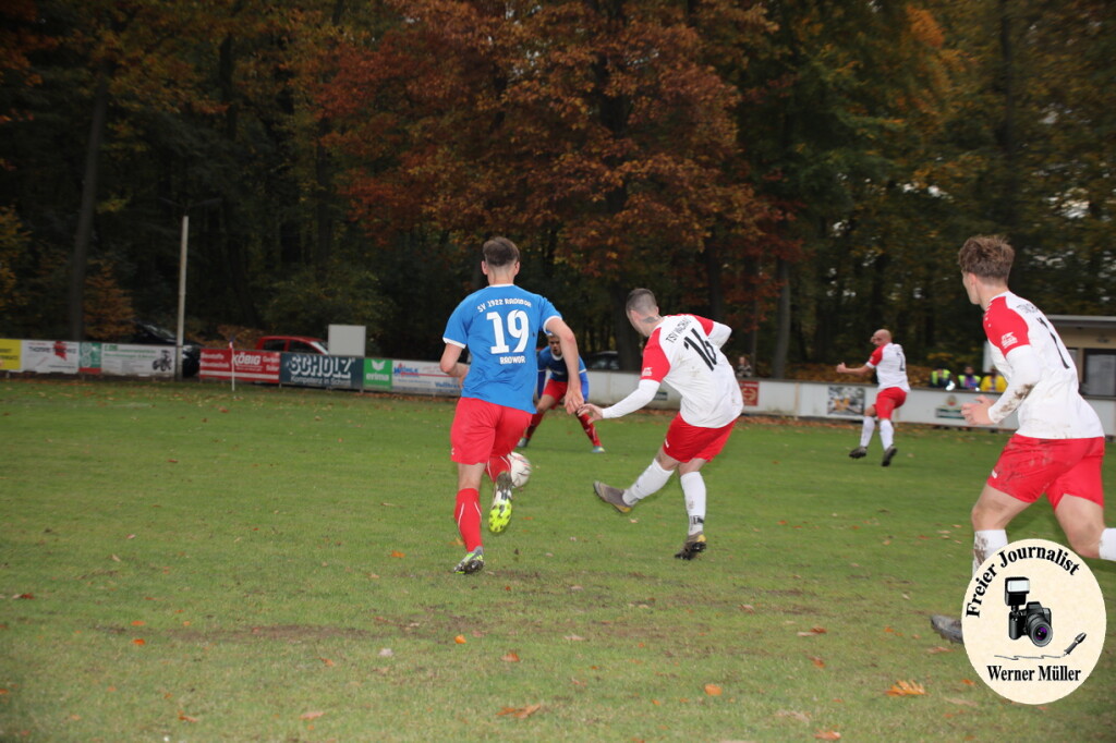 20s23-11-12-WM-249a1a8a7ae37922ab0.jpeg