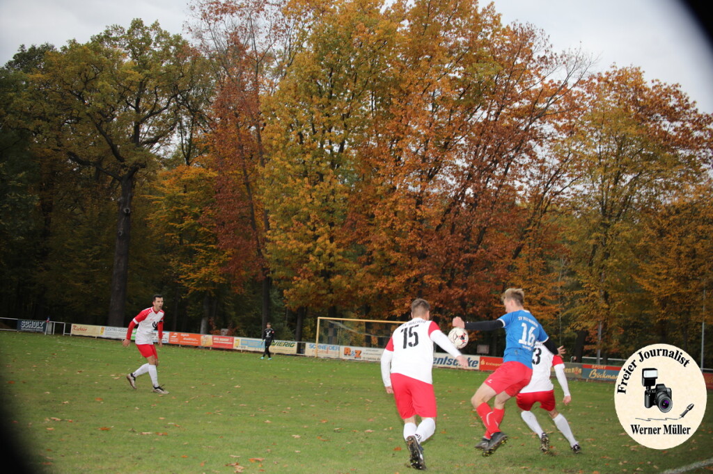 20s23-11-12-WM-2657d91f84d2835844d.jpeg